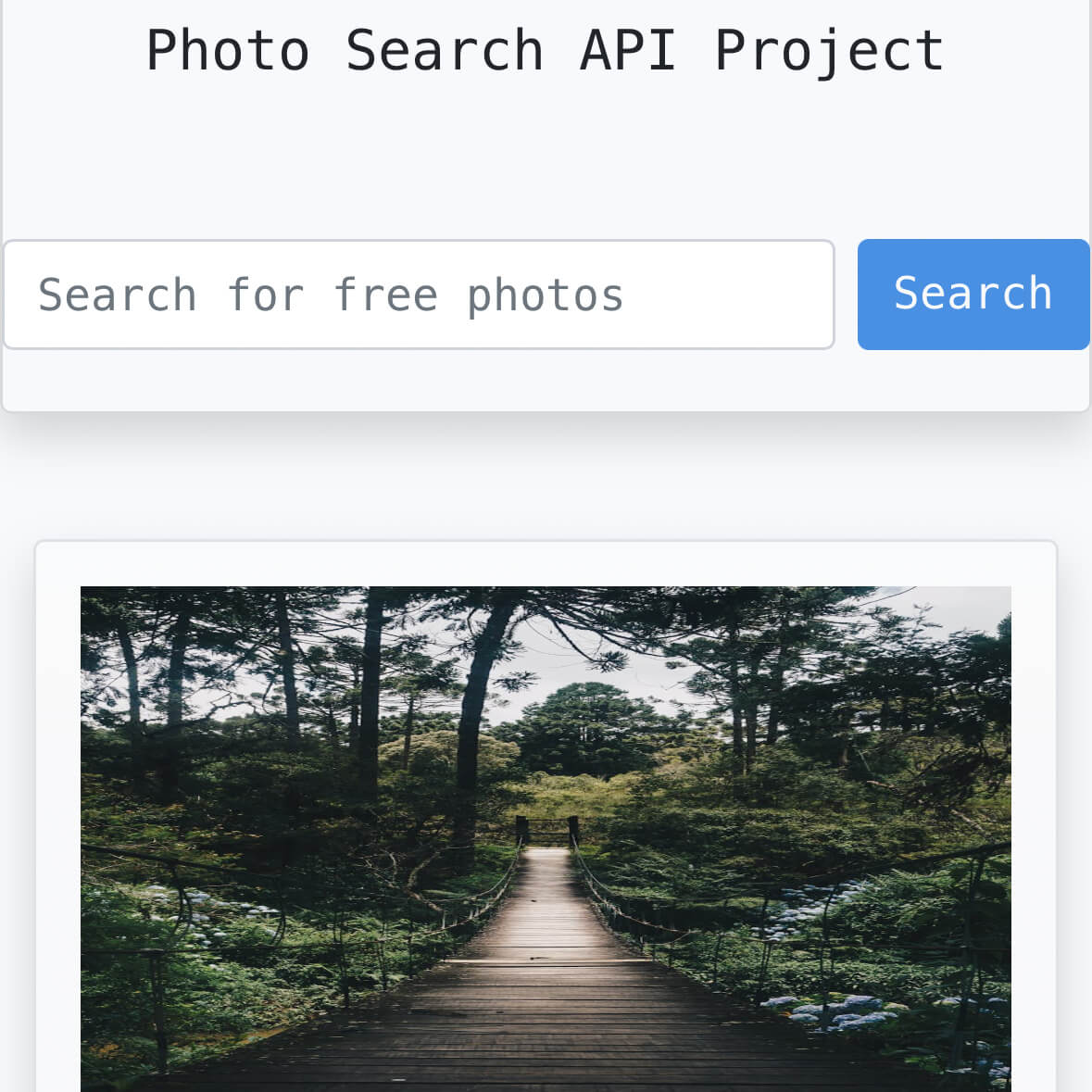 Photo Search (Pexels API)